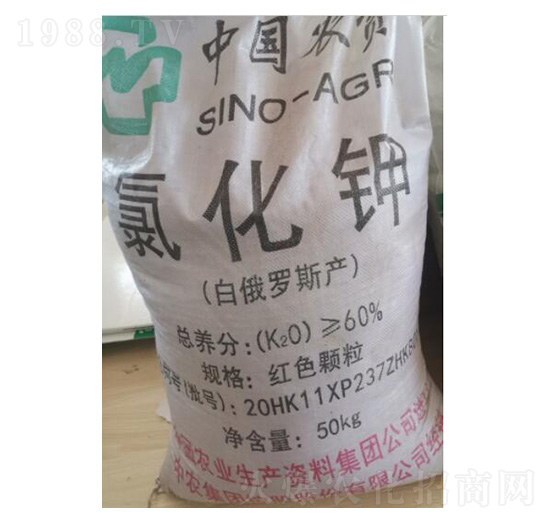 ���r�Ȼ��-�ѷ�Ԫ