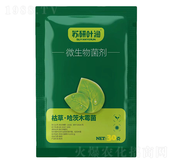 ΢�������-�K���~��-�K��ӡ��