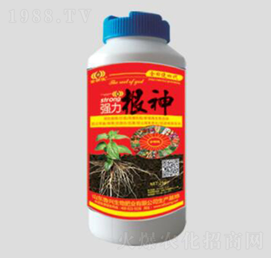 ��������Сƿ��-���d����