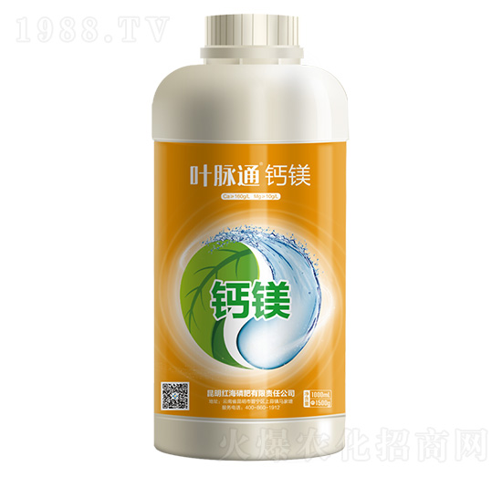 �~�}ͨ���}�V-���컯�r�Y