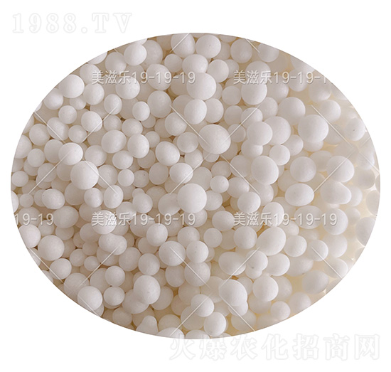 ��(w��n)���ԏ�(f��)�Ϸ���19-19-19+TE���w����-���̘�(l��)-���컯�r(n��ng)�Y