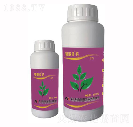 �������}-���Z