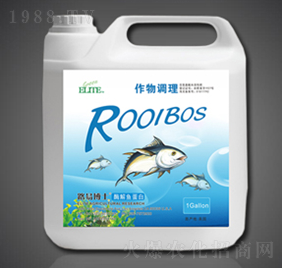 ø���~����-�G�����