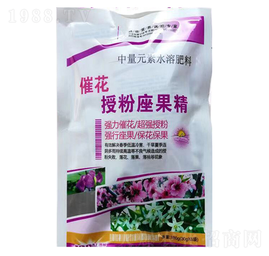 �߻������ڷ۾�-���_����