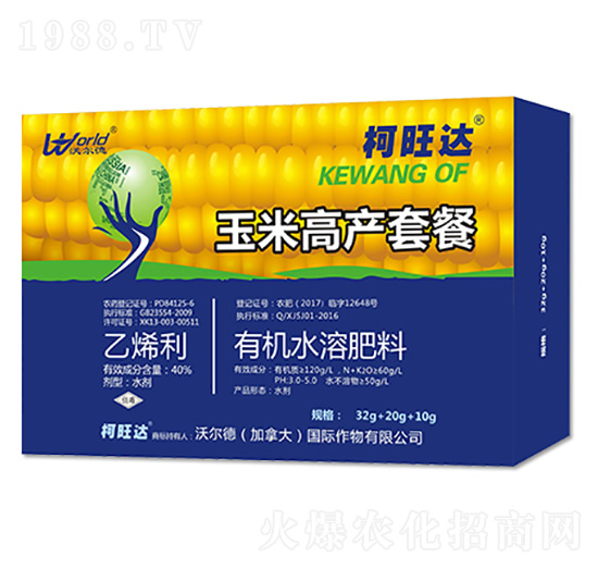 ���׸߮a�����ײ�-�����_-�֠����r�I(y��)