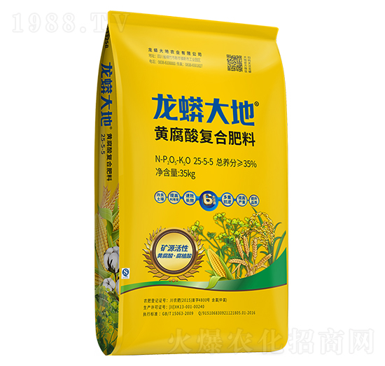 �S�����(f��)�Ϸ���25-5-5-�����׻���