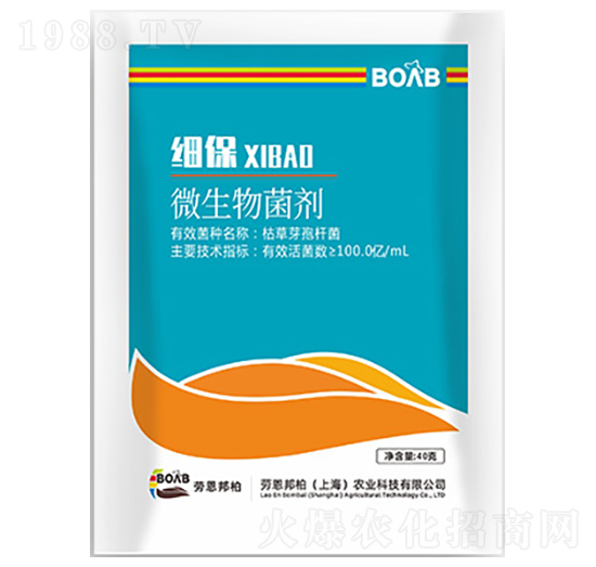 ����΢�������-�ڶ����