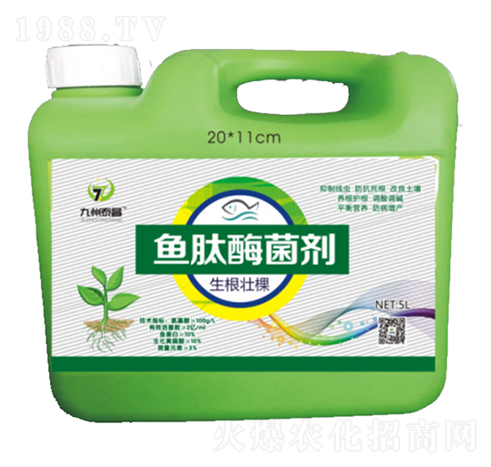 �~(y��)��ø�������������磩-��̩����