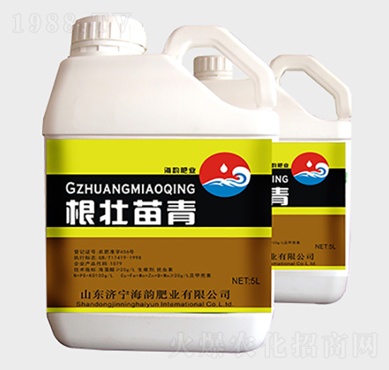 ���������_ʩ��-�������