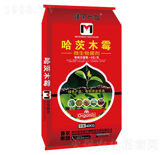 ����ľù΢�������-�������-���r(n��ng)���F(tu��n)