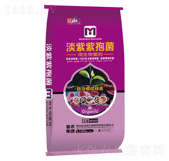 �������߾�-�Z�ɑ�(zh��n)��-���r(n��ng)���F