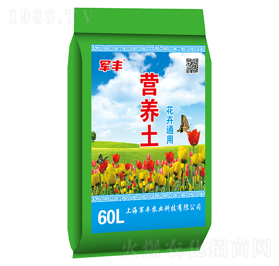 ����ͨ�àI(y��ng)�B(y��ng)��-܊�S�r(n��ng)�I(y��)