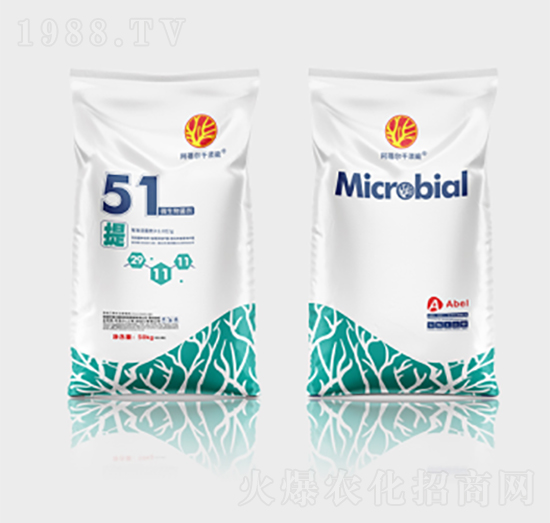 ǧ���΢�������51��