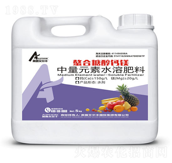 �����Ǵ��}�V-��¶�����S