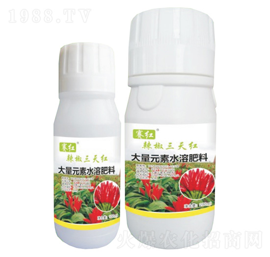 ��������t-ِ�t-���䌍�I(y��)