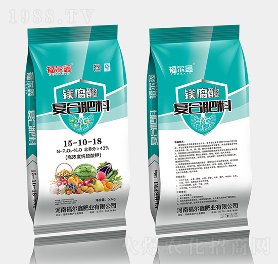 �V����ͺϷ�15-10-18-������