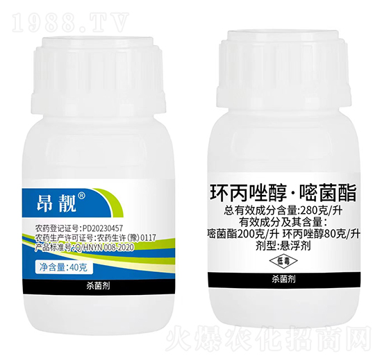 280��/���h(hu��n)���򴼡��׾���-���n-���N�r�I(y��)