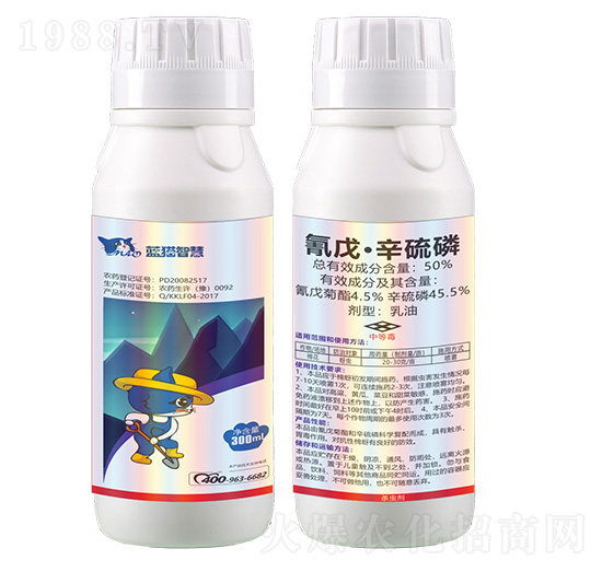 50%���졤����������-�{؈�ǻ�