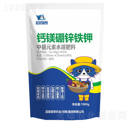 �}�V���F�\�-�{؈�ǻ�