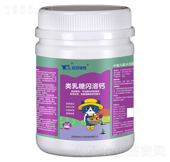 ������W���}-�{؈�ǻ�