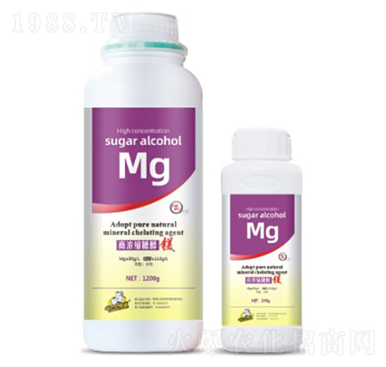 �ߝ�s�Ǵ��V-��˹��