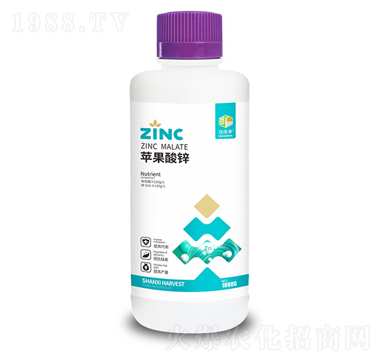 �O�����\-�����S-�ɿ����ʘI(y��)