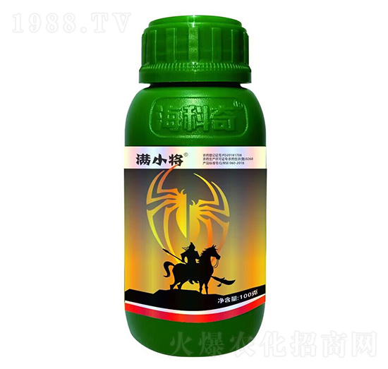 20%������-�MС��-������