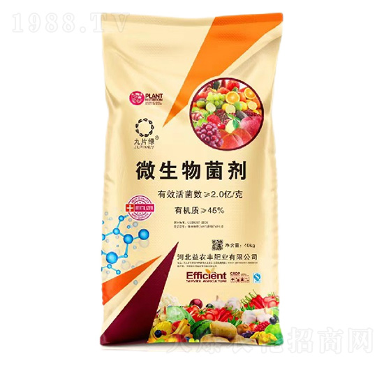 2�|΢�������-���r�S�ʘI(y��)