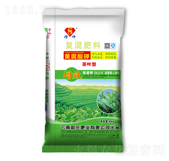 ���~�͏ͻ����18-5-5-����-���f�ʘI(y��)