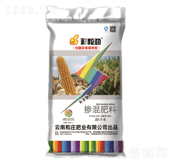 �������22-7-6-������-���f�ʘI(y��)