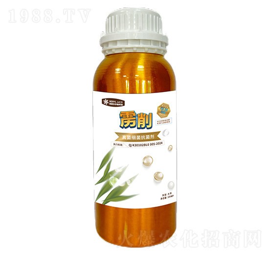 �(y��ng)�x�ӱ�����Ԅ�-�Z��-������