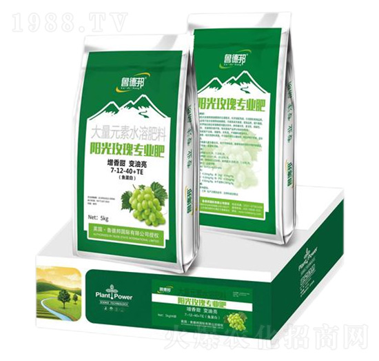 ꖹ�õ�匣�ô���Ԫ��ˮ�ܷʷ���7-12-40+TE-���°�