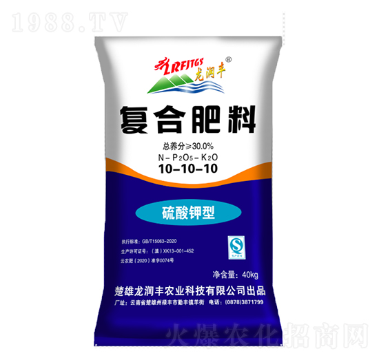 ������͏ͺϷ���10-10-10-�����S