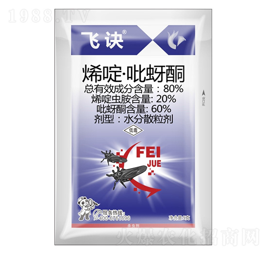 80%ϩड�����ͪ-�w�E-����¡����