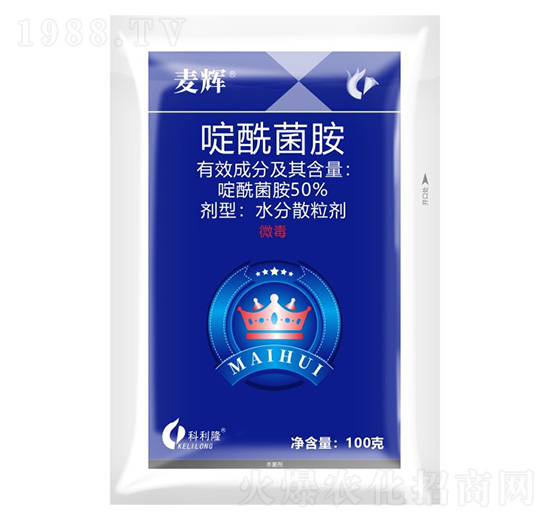 50%�������-���x-����¡����