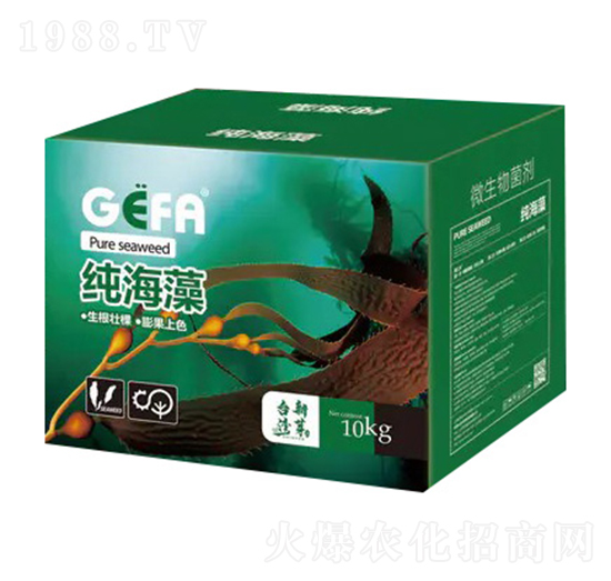 ������΢�������-����