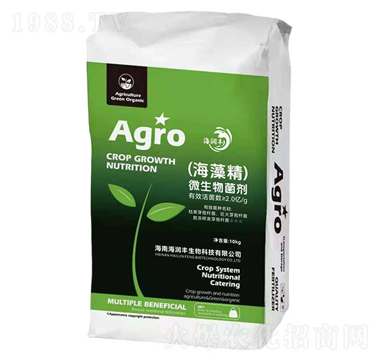 (���徫)΢�������-�����S