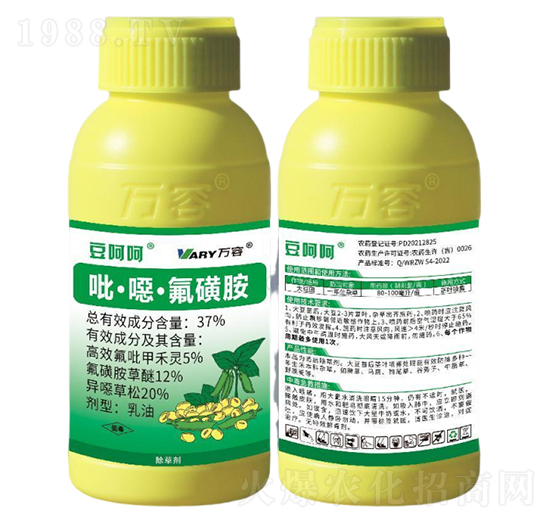 37%�����f�����ǰ�-���Ǻ�-�f(w��n)��