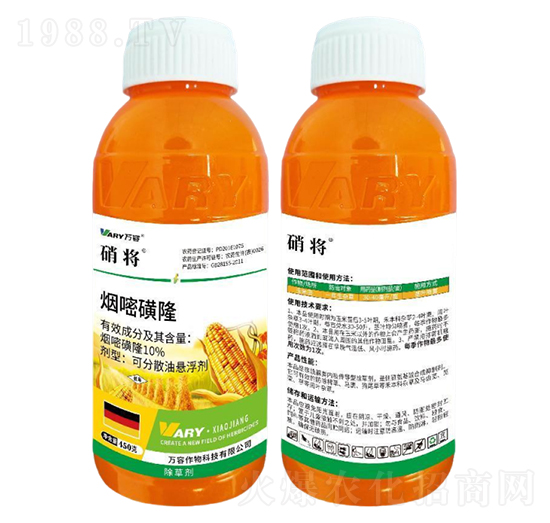 10%���׻�¡-����-�f��