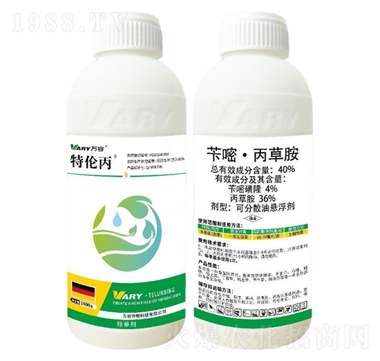 40%�S�ס����ݰ�-�؂���-�f��