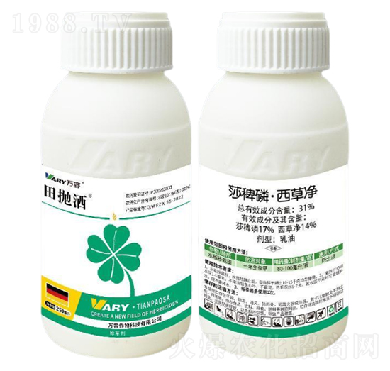 31%ɯ���ס����݃�250��-���-�f(w��n)��