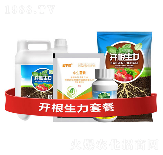 �_�������ײ�G-�ƴ�Ƽ�