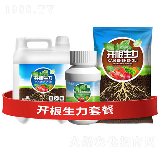 �_�������ײ�B-�ƴ�Ƽ�