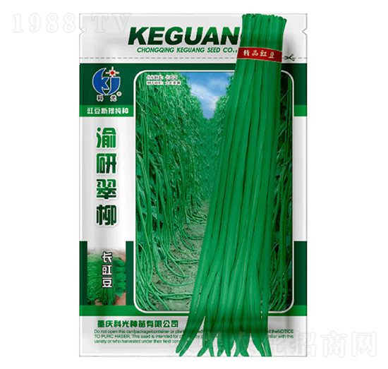 ���д���-�ƹ�N��