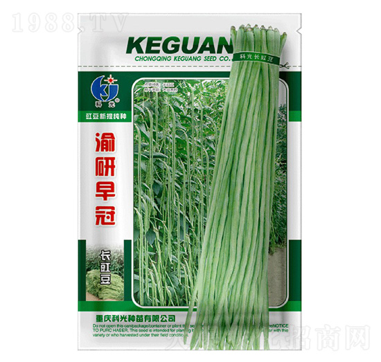 �������-�ƹ�N��