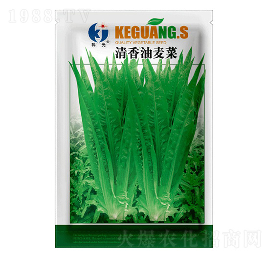 ����������-�ƹ�N��