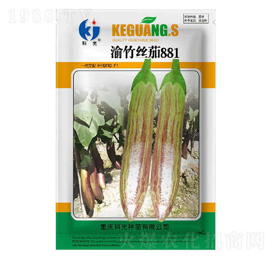 ����z��881-�ƹ�N��