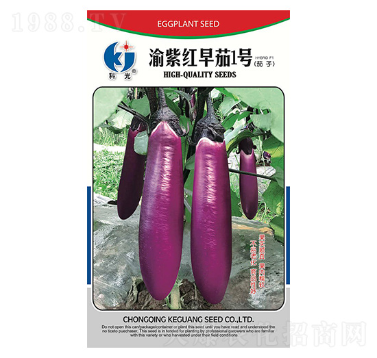 ���ϼt����1̖(h��o)-�ƹ�N��