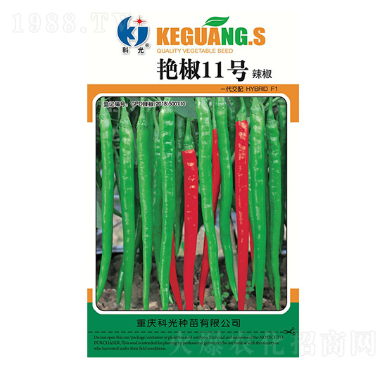 �G��11̖(h��o)-�ƹ�N��