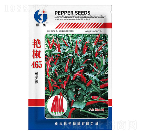 �G��465-�ƹ�N��